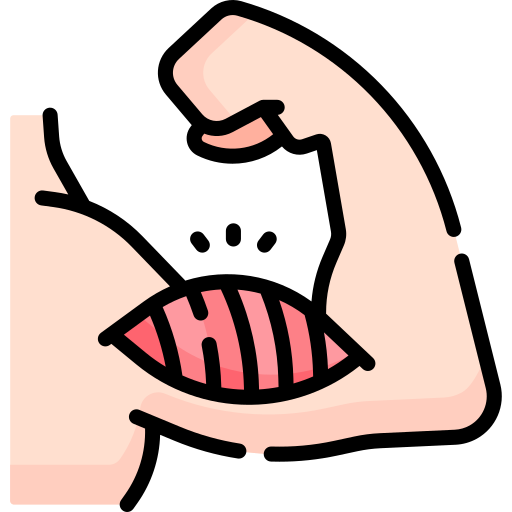 musculo